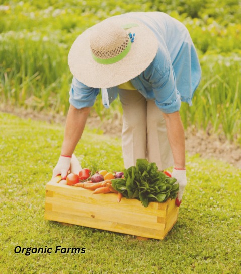 Organic Farms