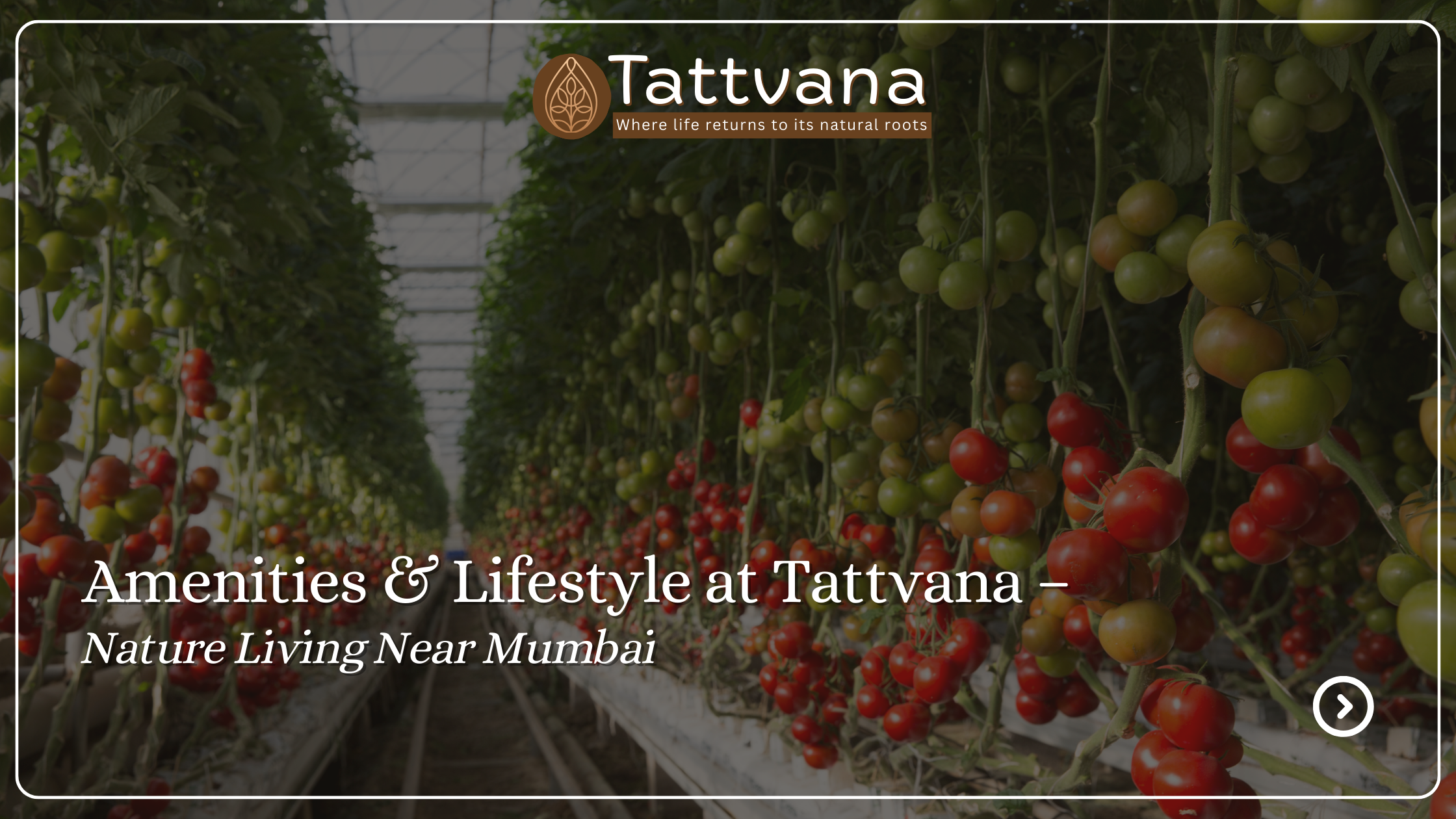 Amenities & Lifestyle at Tattvana – Nature Living Near Mumbai